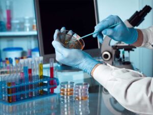 آشنایی کامل با رشته تجربی و بازار کار متنوع آن